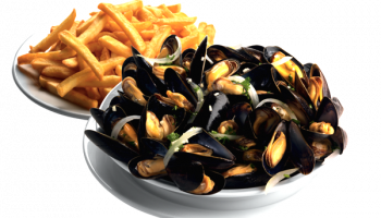 LES MOULES